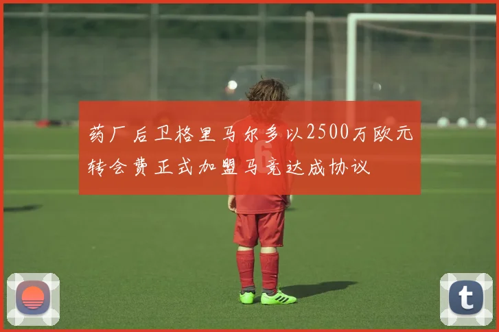 药厂后卫格里马尔多以2500万欧元转会费正式加盟马竞达成协议