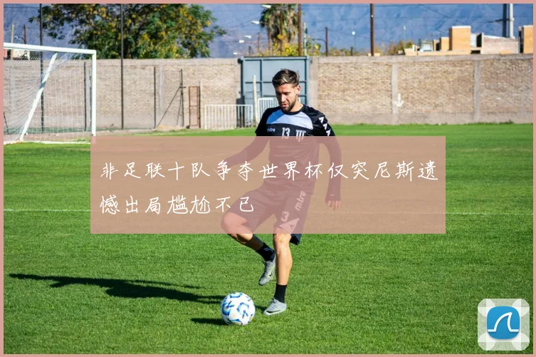非足联十队争夺世界杯仅突尼斯遗憾出局尴尬不已