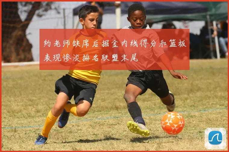 约老师缺席后掘金内线得分和篮板表现惨淡排名联盟末尾